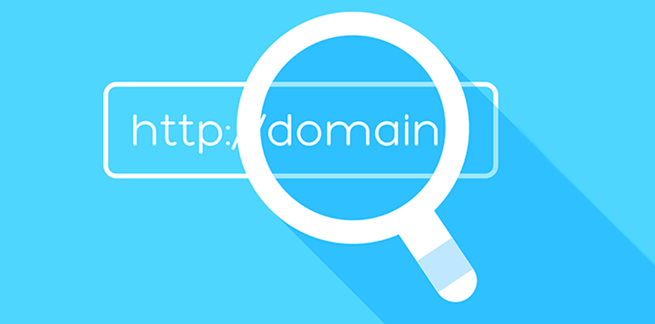 Domain Registration