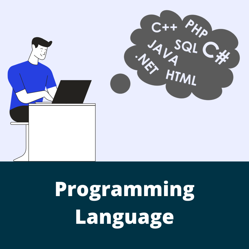 Programming Language-SalyaniLive